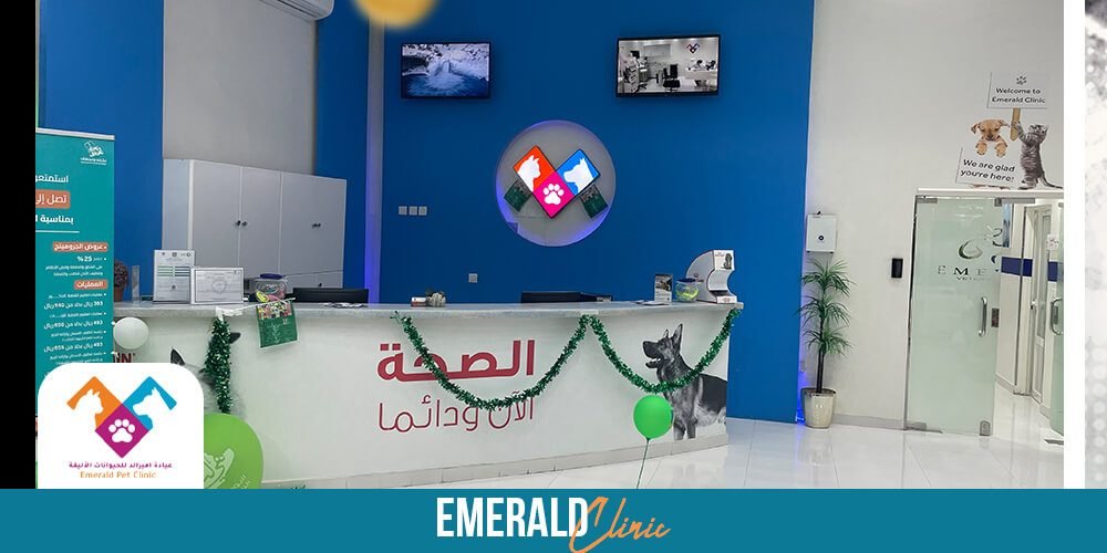 افضل عيادة بيطرية الرياض افضل طبيب بيطري بالرياض